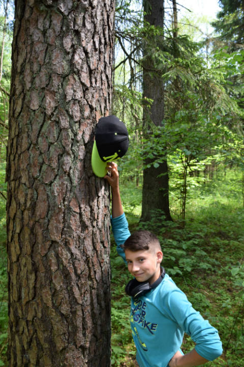 Wycieczka do Białowieży