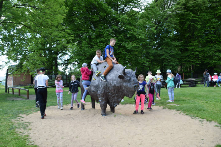 Wycieczka do Białowieży