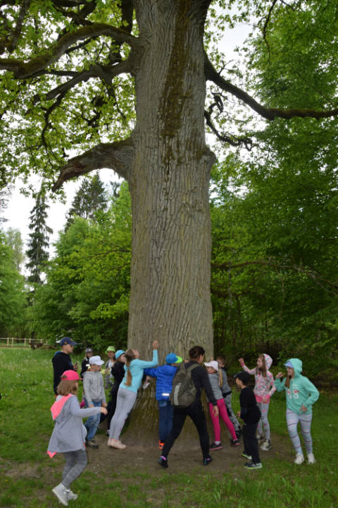 Wycieczka do Białowieży