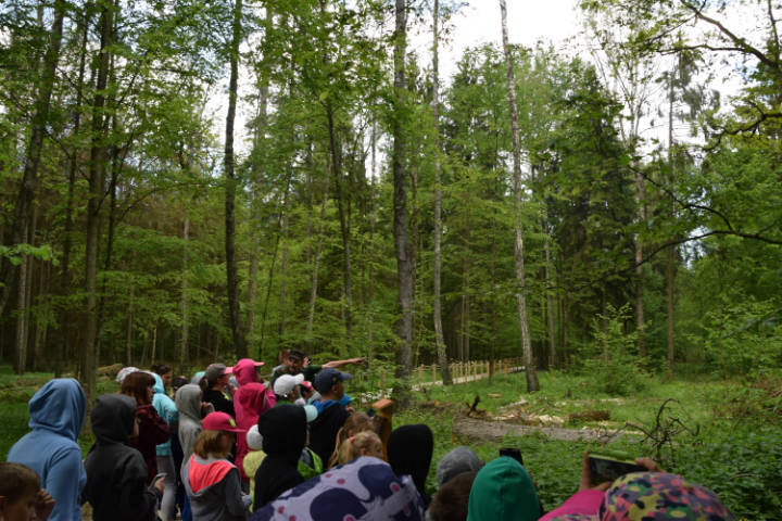 Wycieczka do Białowieży