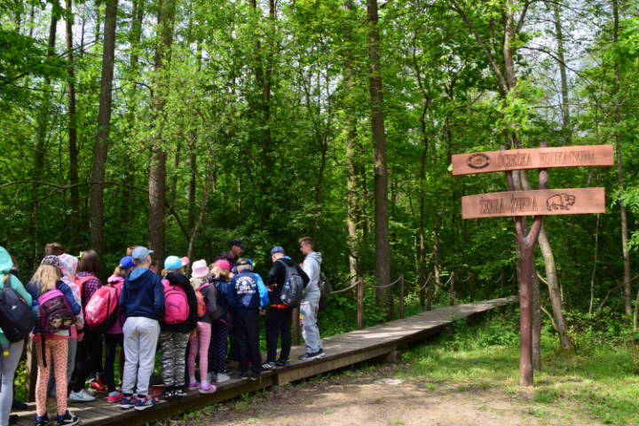 Wycieczka do Białowieży