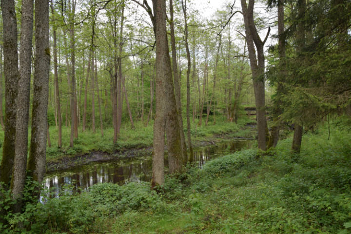 Wycieczka do Białowieży