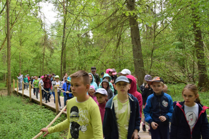 Wycieczka do Białowieży