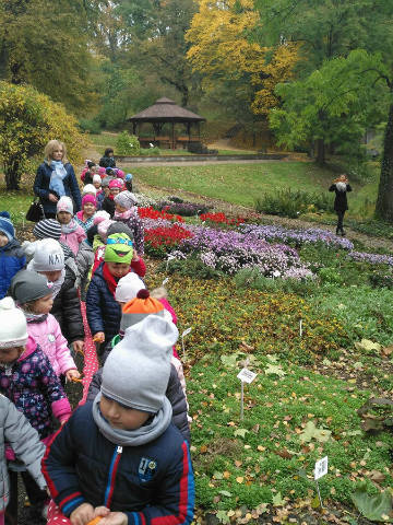 Przedszkolaki z Nasutowa w Ogrodzie Botanicznym