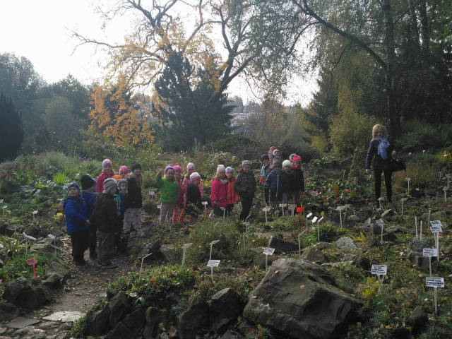 Przedszkolaki z Nasutowa w Ogrodzie Botanicznym