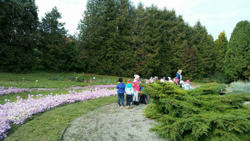 Przedszkolaki z Nasutowa w Ogrodzie Botanicznym