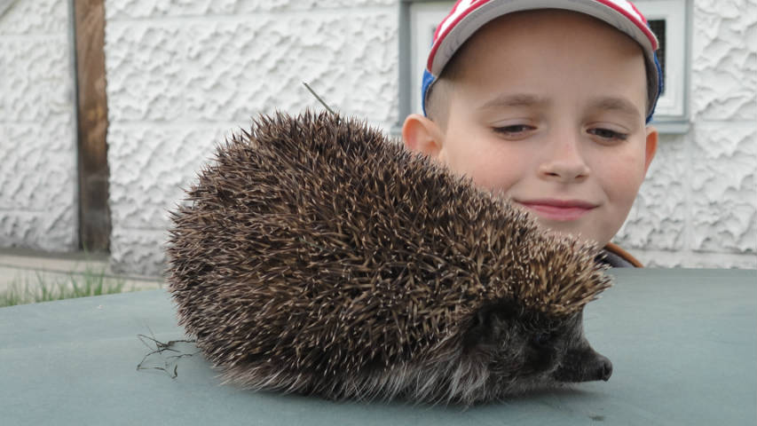 W poszukiwaniu wiosny - konkurs fotograficzny