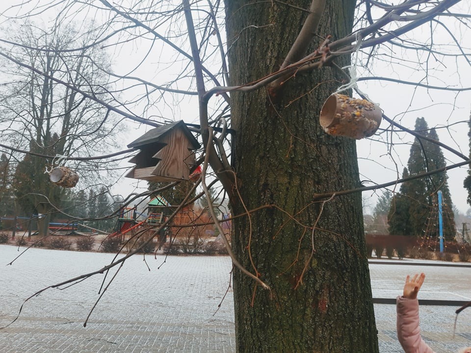 Przedszkolaki dokarmiają ptaki zimą