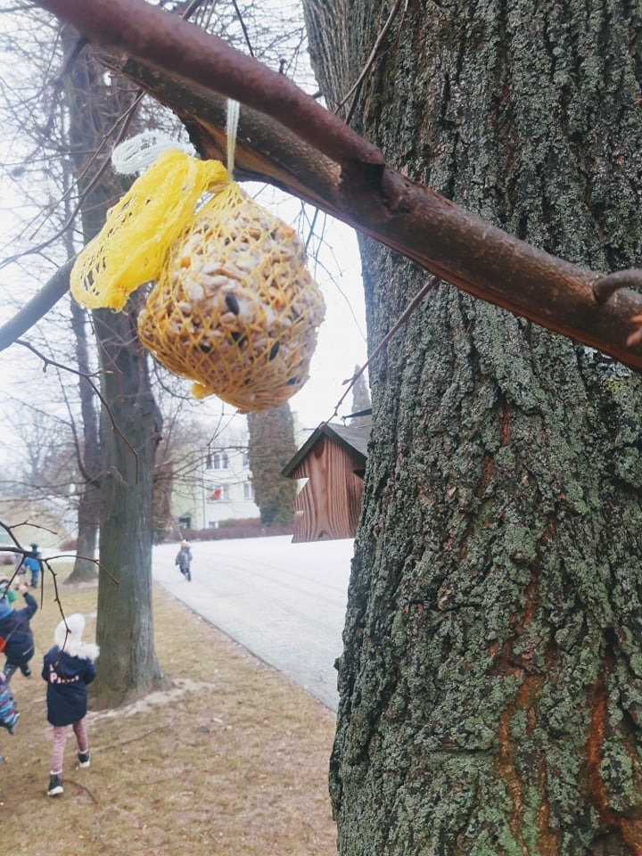 Przedszkolaki dokarmiają ptaki zimą