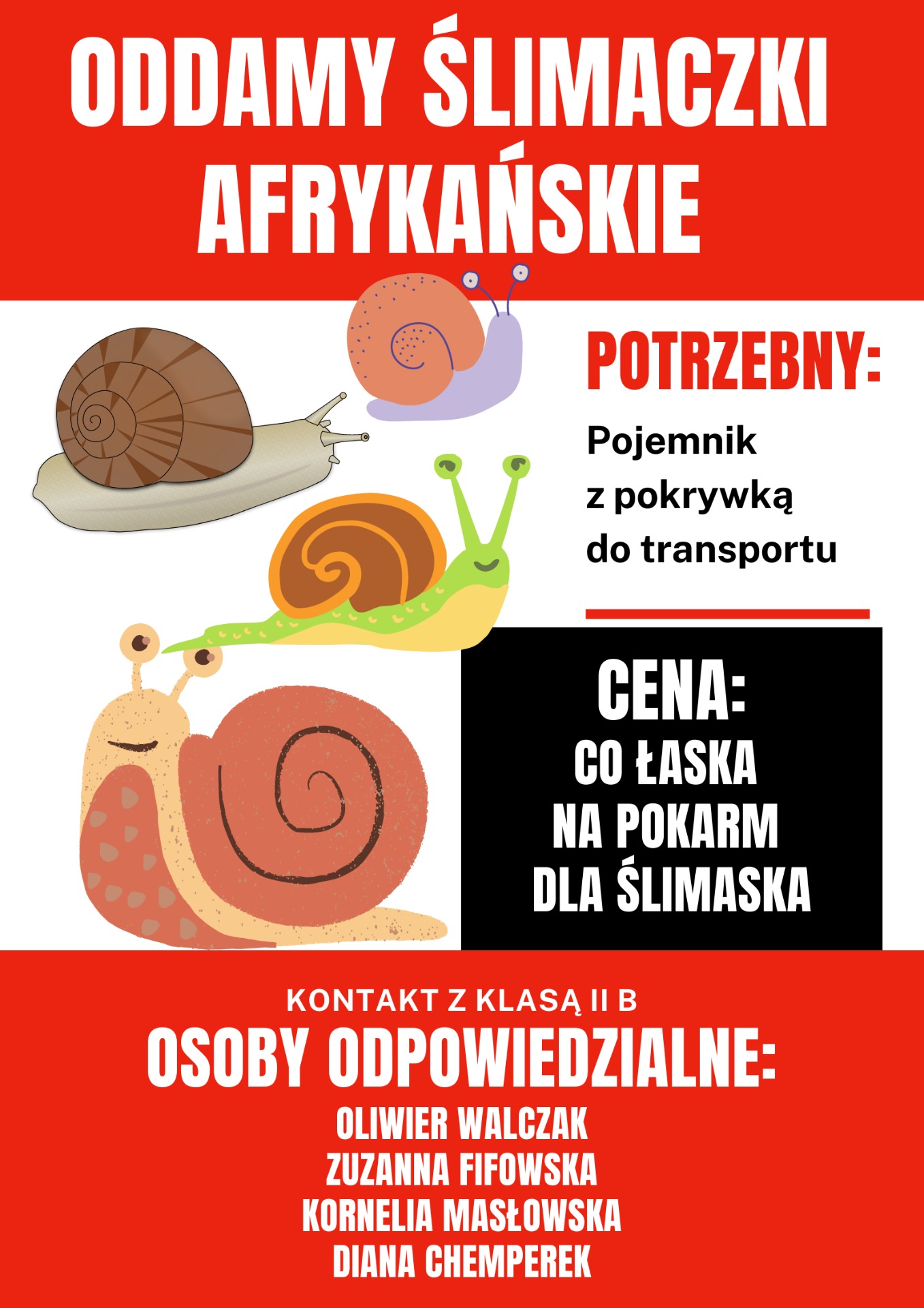 Oddamy Ślimaki Afrykańskie