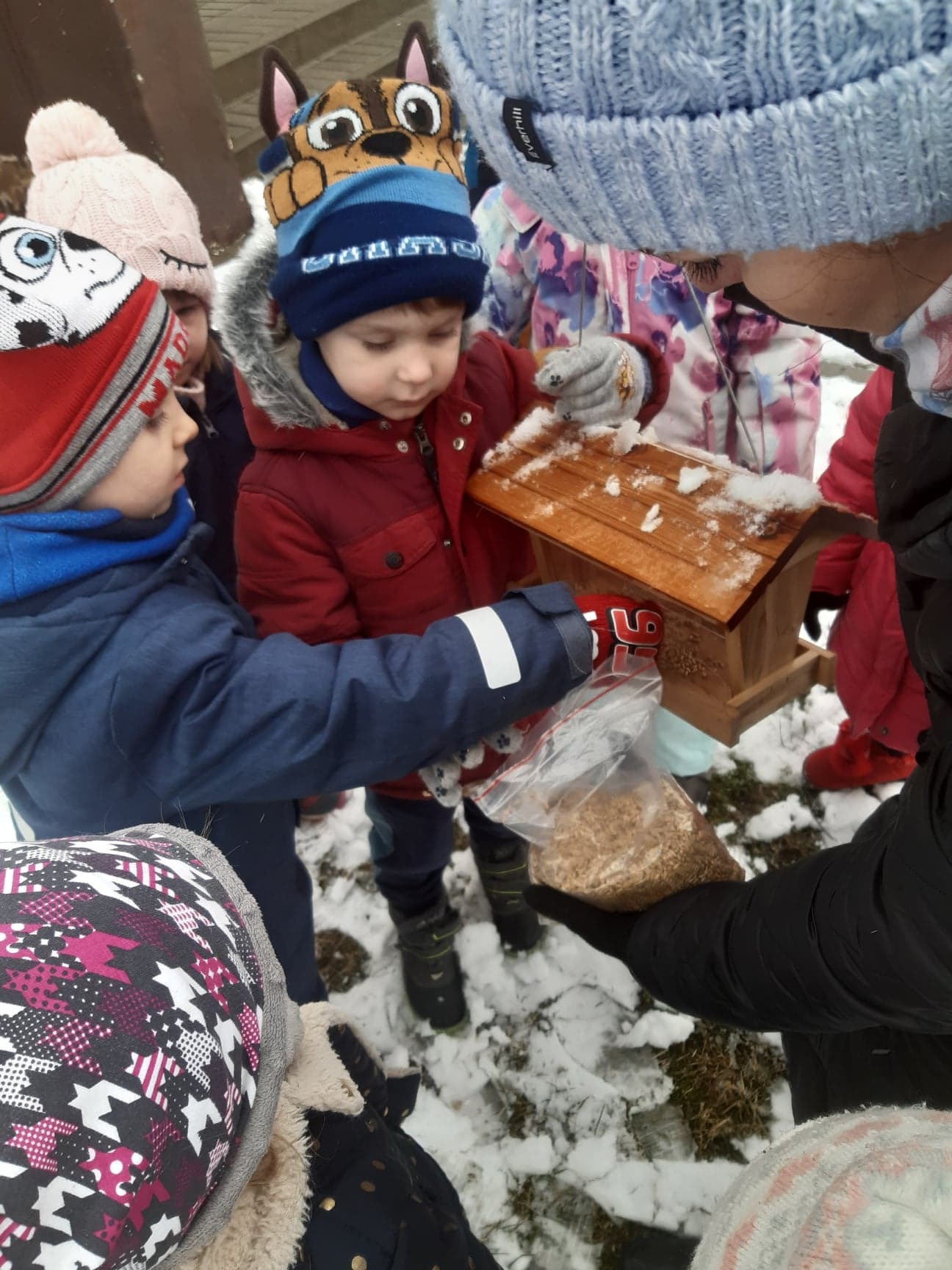 Dzieci z grupy Biedronki dokarmiają ptaki