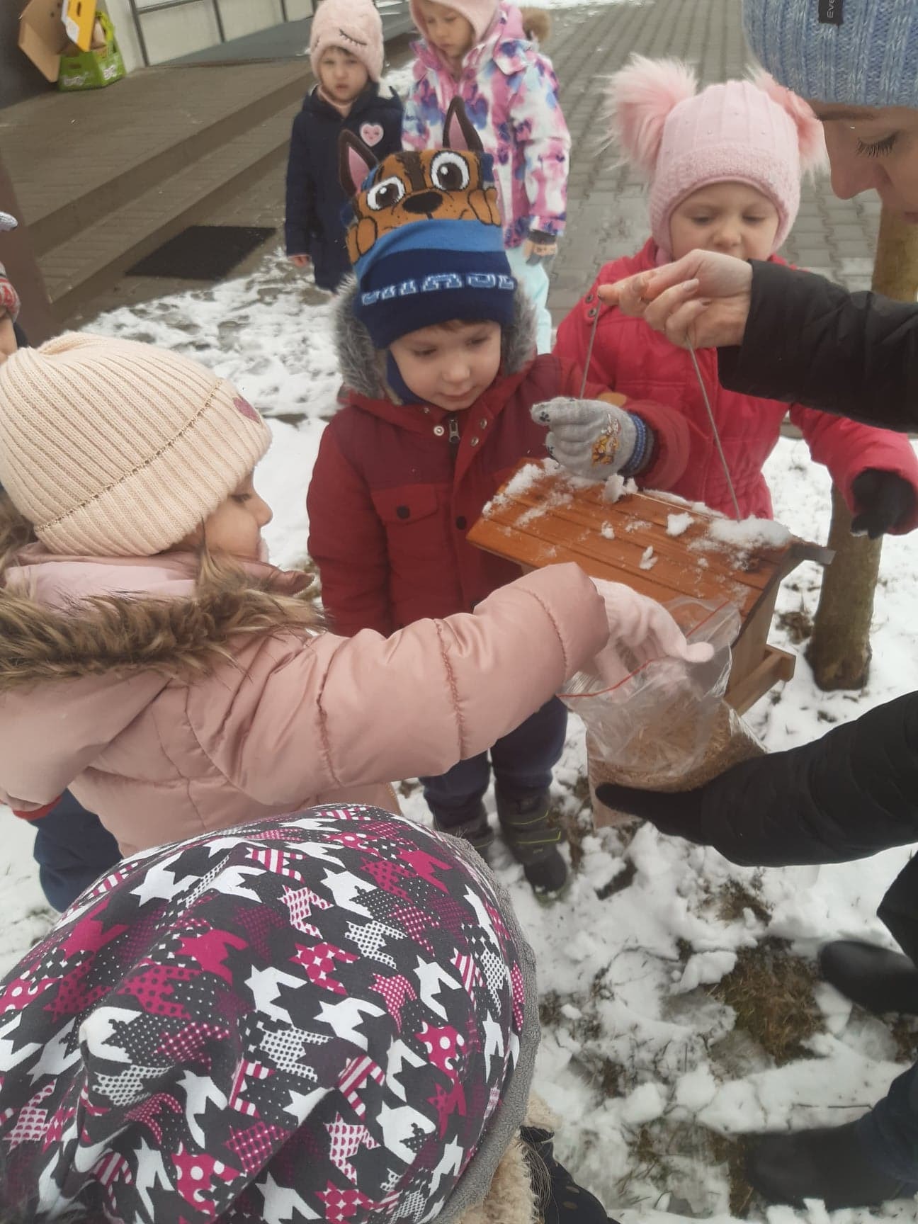 Dzieci z grupy Biedronki dokarmiają ptaki