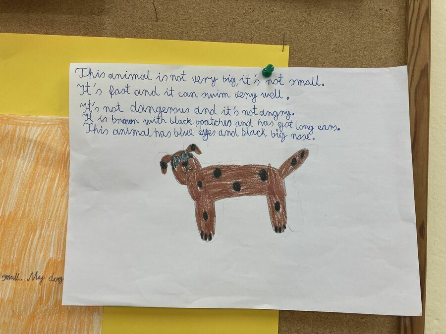 My animal project