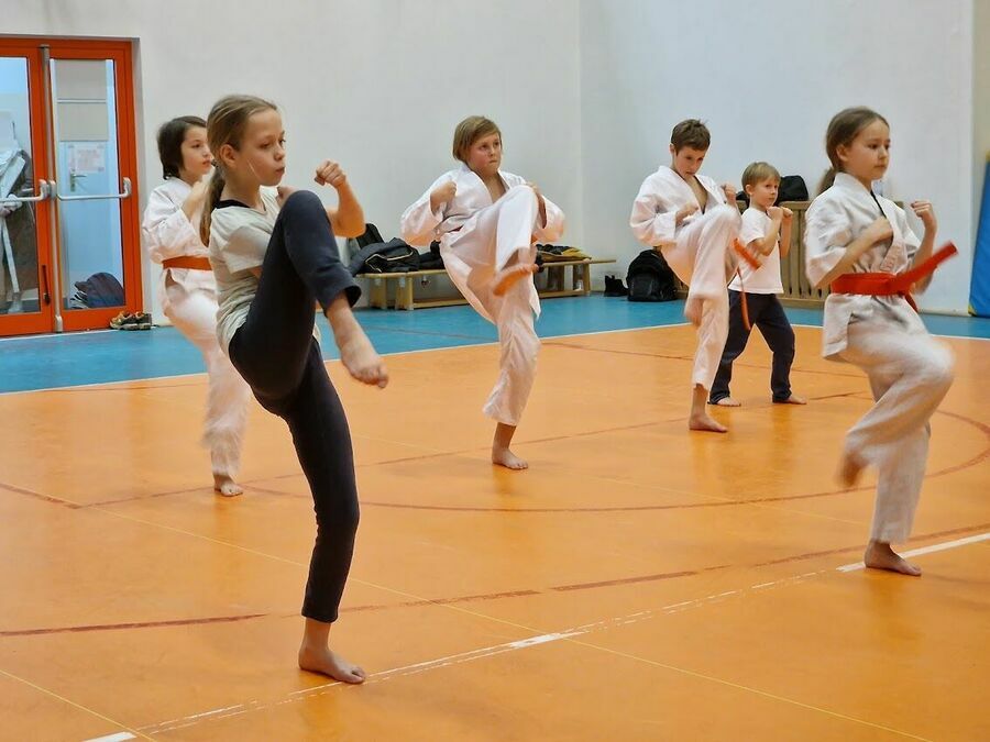 EGZAMIN KARATE KYOKUSHIN 