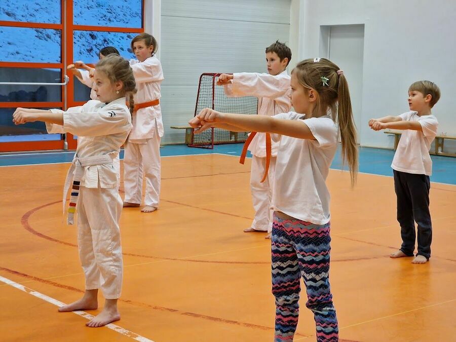 EGZAMIN KARATE KYOKUSHIN 