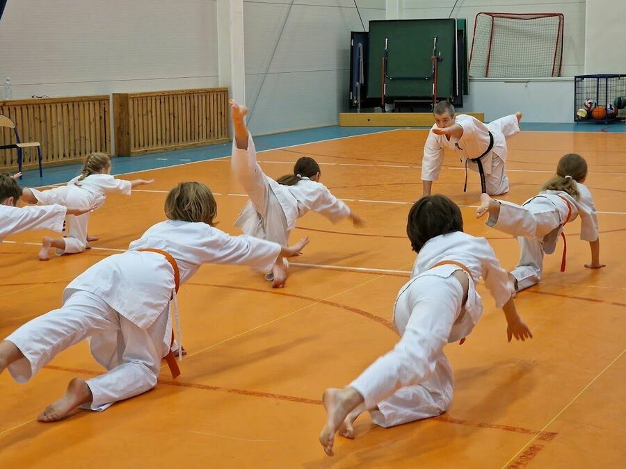 EGZAMIN KARATE KYOKUSHIN 