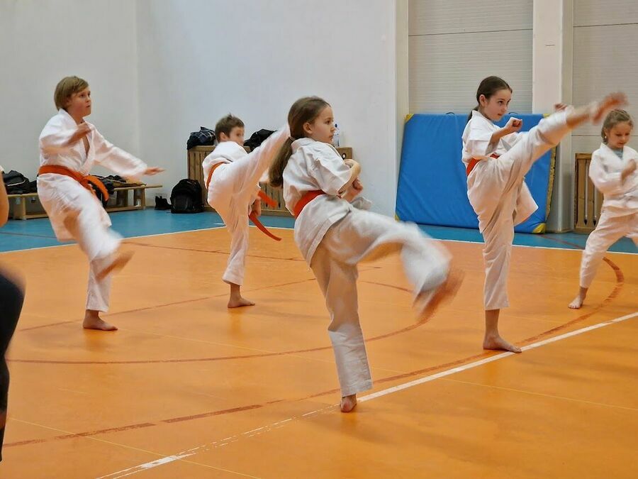 EGZAMIN KARATE KYOKUSHIN 