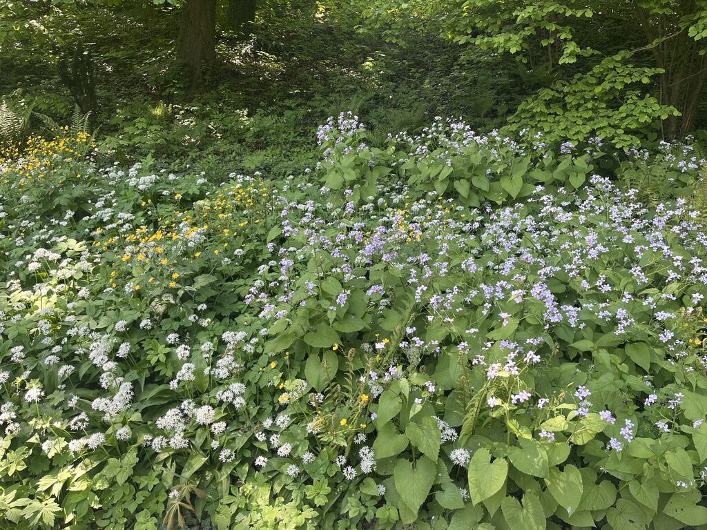 WYCIECZKA KULTURALNO-PRZYRODNICZA DO LUBLINA