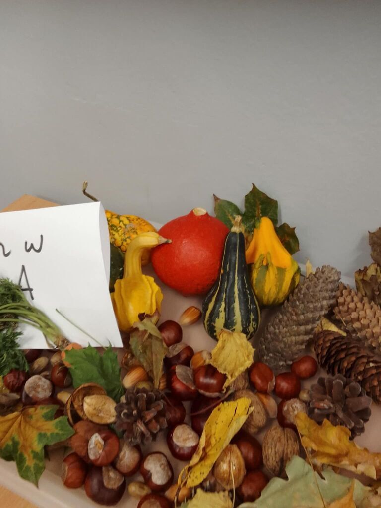 JESIEŃ W KLASIE 3A