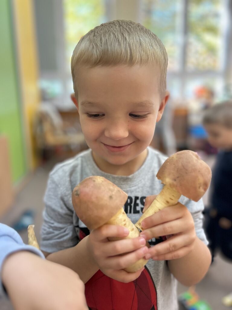 LEŚNE GRZYBKI Z WARZYWNIAKA