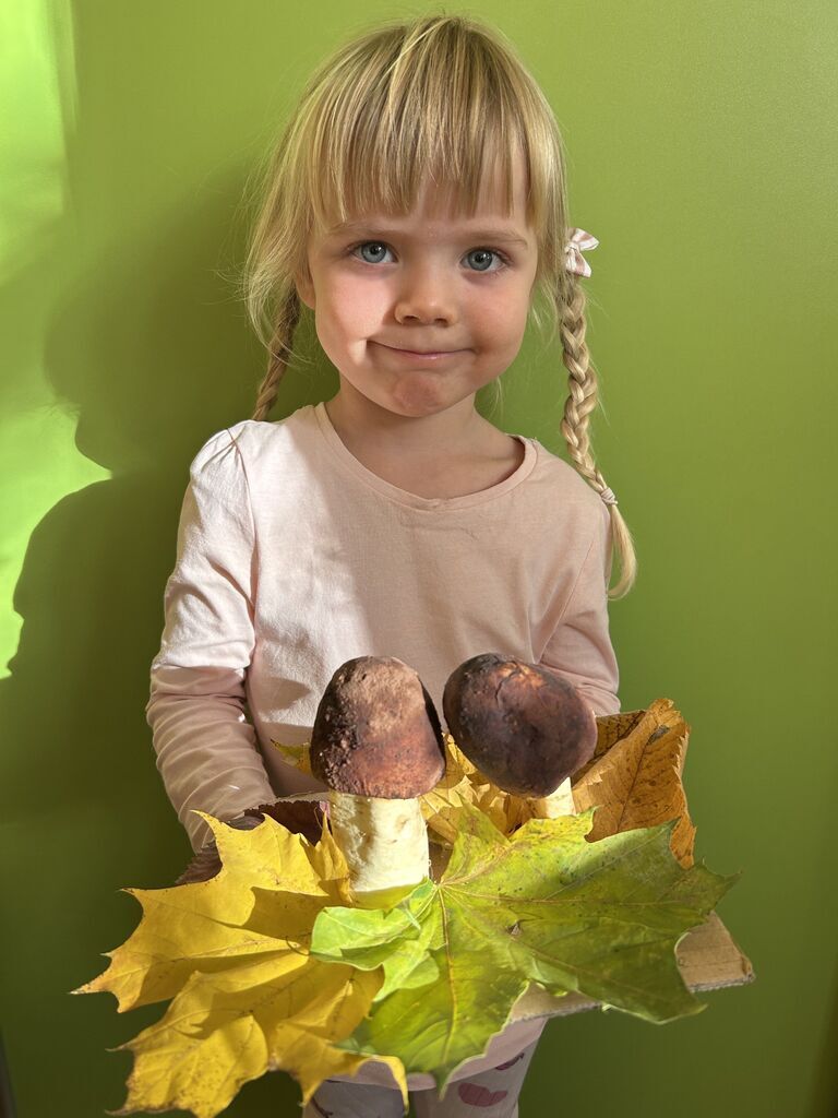 LEŚNE GRZYBKI Z WARZYWNIAKA