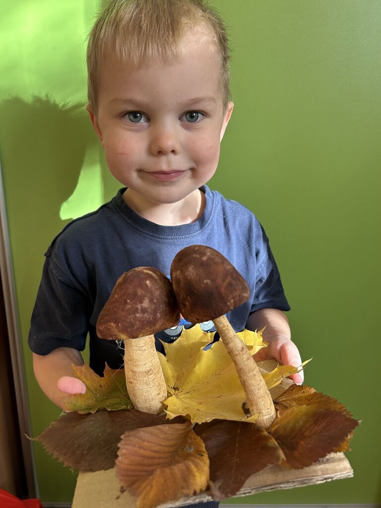 LEŚNE GRZYBKI Z WARZYWNIAKA