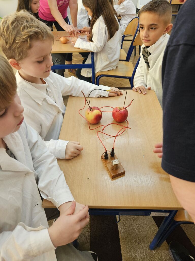 WARSZTATY MŁODEGO NAUKOWCA