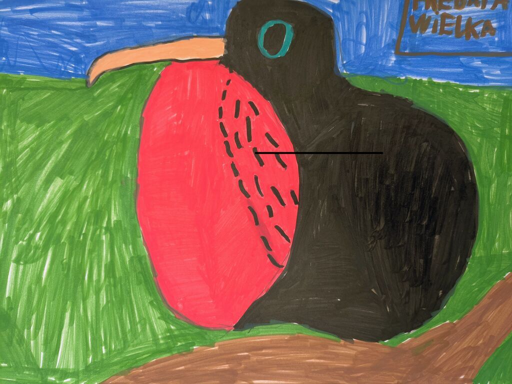 "SKRZYDŁA WYOBRAŹNI"