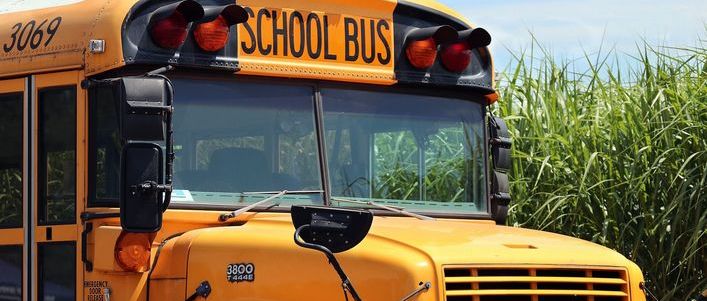 Grafika ogólna- school bus- żółty autobus