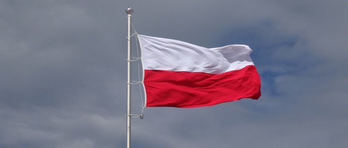 Flaga Polski na szarym tle