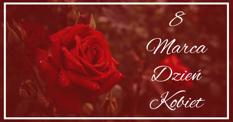 Obraz przedstawia czerwoną różę z kroplami wody na płatkach, z tekstem "8 Marca Dzień Kobiet" na bordowym tle, symbolizującym Międzynarodowy Dzień Kobiet.