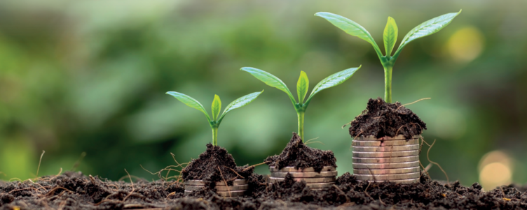Trzy rosnące rośliny umieszczone w rzędzie na ziemi, z monetami ułożonymi w ziemii pod jedną z nich, symbolizujące wzrost inwestycji.