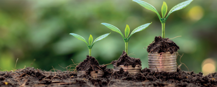 Trzy rosnące rośliny na gruncie z monetą pod każdą, symbolizują inwestycje i wzrost gospodarczy.