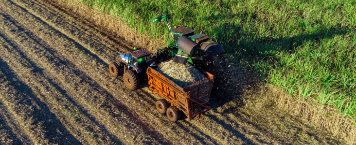 Traktor z przyczepą zbiera ziemniaki w polu, tworząc wyraźne ślady na podłożu oświetlonym przez słońce.