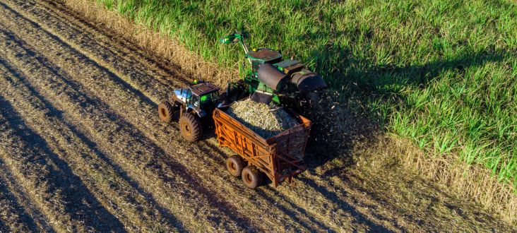 Traktor z przyczepą zbiera ziemniaki w polu, tworząc wyraźne ślady na podłożu oświetlonym przez słońce.