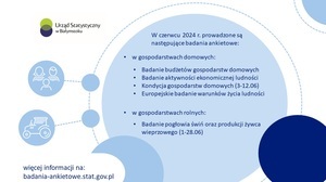 Badania ankietowe w gospodarstwach domowych  - czerwiec 2024 r.