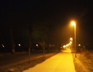 Budowa oświetlenia ścieżki rowerowej z chodnikiem wzdłuż ulicy Stężyckiej i Mickiewicza o długości ok. 780 m.