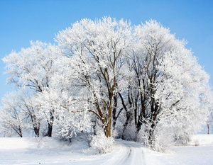 PROGNOZA NIEBEZPIECZNYCH ZJAWISK METEOROLOGICZNYCH z dn. 1.02.2017
