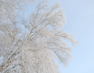 PROGNOZA NIEBEZPIECZNYCH ZJAWISK METEOROLOGICZNYCH z dn. 8.02.2017