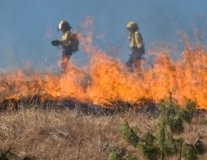 Kampania "STOP pożarom traw"