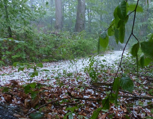 PROGNOZA NIEBEZPIECZNYCH ZJAWISK METEOROLOGICZNYCH z dnia 15.05.2017