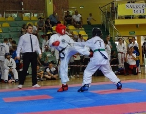 Dęblińska Szkoła Taekwon-do najlepsza na Mistrzostwach Ogólnopolskiej Orgaznizacji Taekwon-do ITF