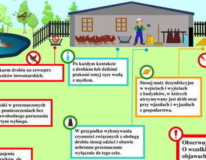 Apel do hodowców drobiu