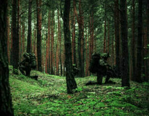 Batalion w lesie