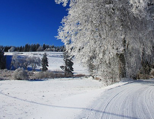 Śnieg 