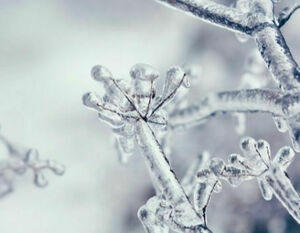 Gałązka pokryta szronem i drobnymi lodowymi kryształami, na tle rozmytego, zimowego krajobrazu.