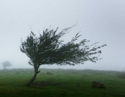 OSTRZEŻENIA METEOROLOGICZNE ZBIORCZO NR 300