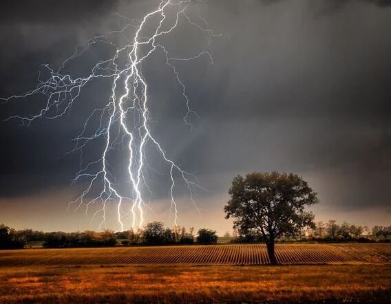 Zasady zachowania się podczas gwałtownych zjawisk meteorologicznych  - burz i nawałnic