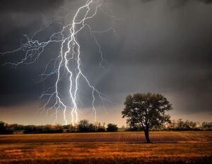 Zasady zachowania się podczas gwałtownych zjawisk meteorologicznych  - burz i nawałnic