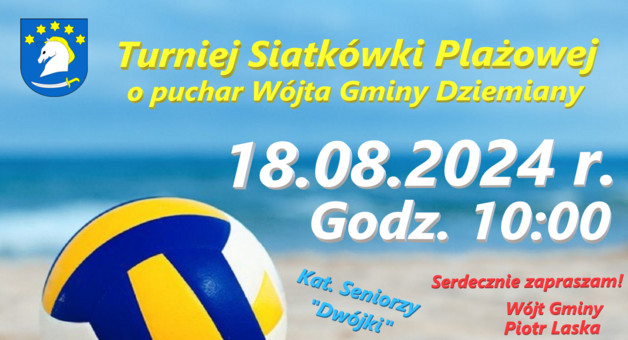 Turniej Siatkówki Plażowej o puchar Wójta Gminy Dziemiany